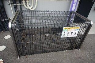 宇都宮駅 徒歩8分 4階の物件外観写真